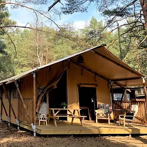 Kemping Camp Bursztynowy, Gdańsk